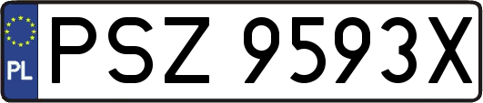 PSZ9593X