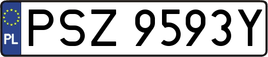 PSZ9593Y