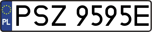 PSZ9595E