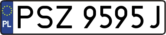 PSZ9595J
