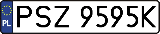 PSZ9595K