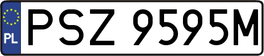 PSZ9595M