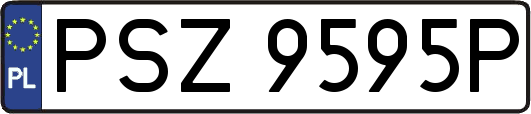 PSZ9595P