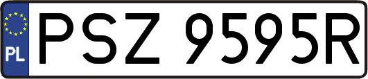 PSZ9595R