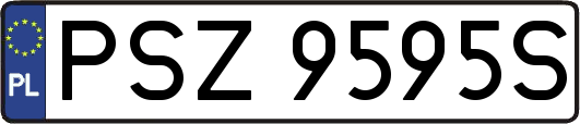 PSZ9595S