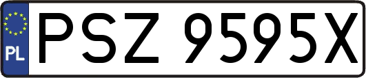 PSZ9595X