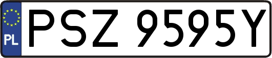PSZ9595Y