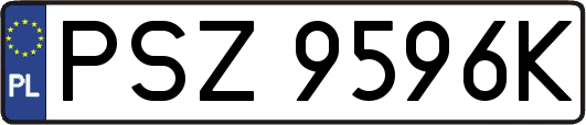 PSZ9596K