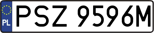 PSZ9596M