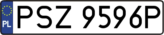PSZ9596P
