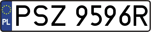 PSZ9596R