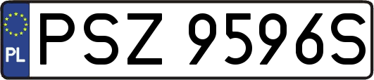 PSZ9596S