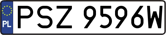 PSZ9596W
