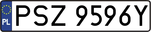 PSZ9596Y