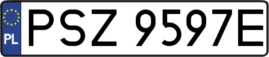 PSZ9597E