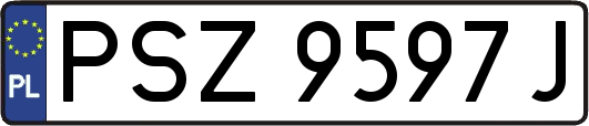 PSZ9597J