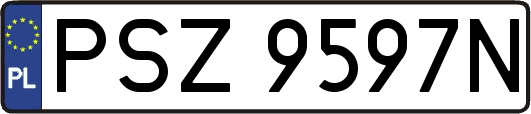 PSZ9597N