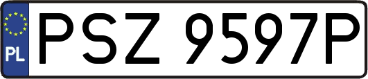 PSZ9597P