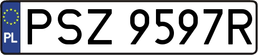 PSZ9597R