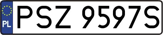 PSZ9597S