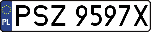 PSZ9597X