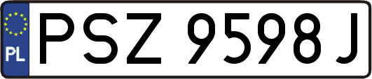 PSZ9598J