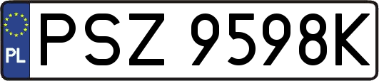 PSZ9598K