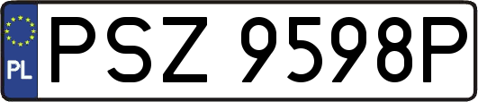 PSZ9598P