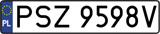 PSZ9598V