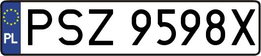 PSZ9598X