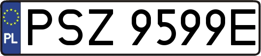 PSZ9599E