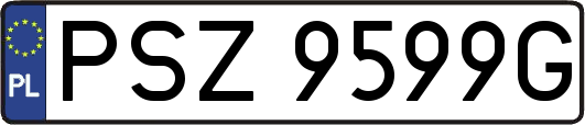 PSZ9599G