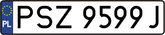 PSZ9599J