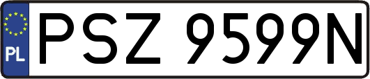 PSZ9599N