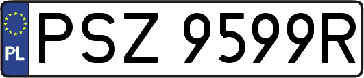 PSZ9599R