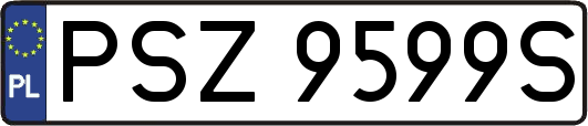 PSZ9599S
