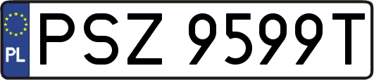 PSZ9599T