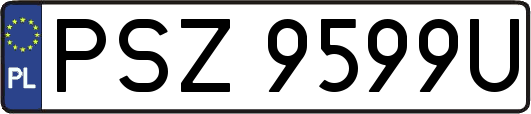 PSZ9599U
