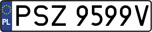 PSZ9599V