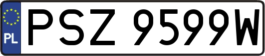 PSZ9599W