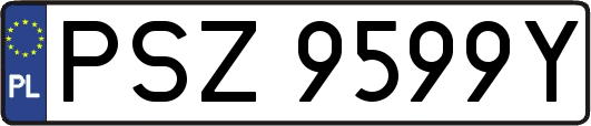 PSZ9599Y