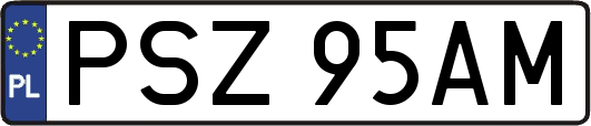 PSZ95AM