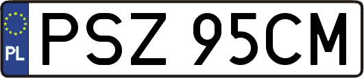 PSZ95CM