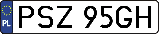 PSZ95GH