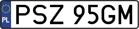 PSZ95GM