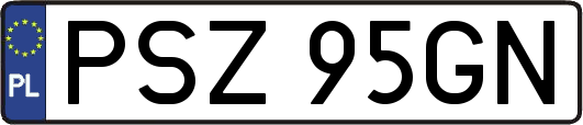 PSZ95GN