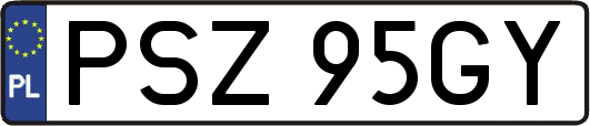 PSZ95GY
