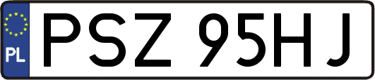 PSZ95HJ