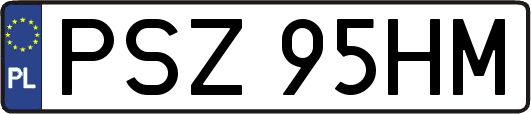 PSZ95HM