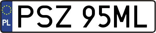 PSZ95ML